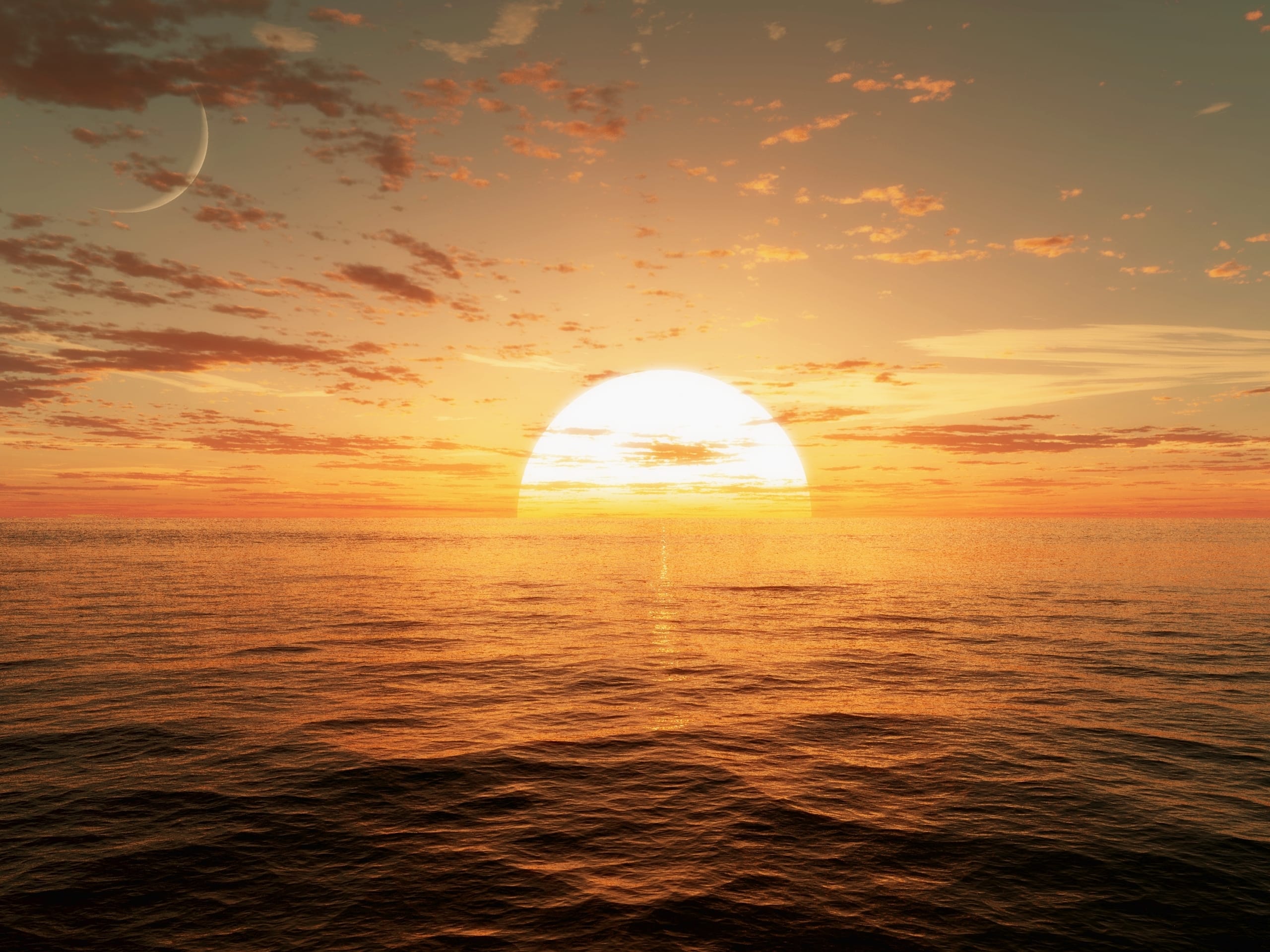 The Sunsets